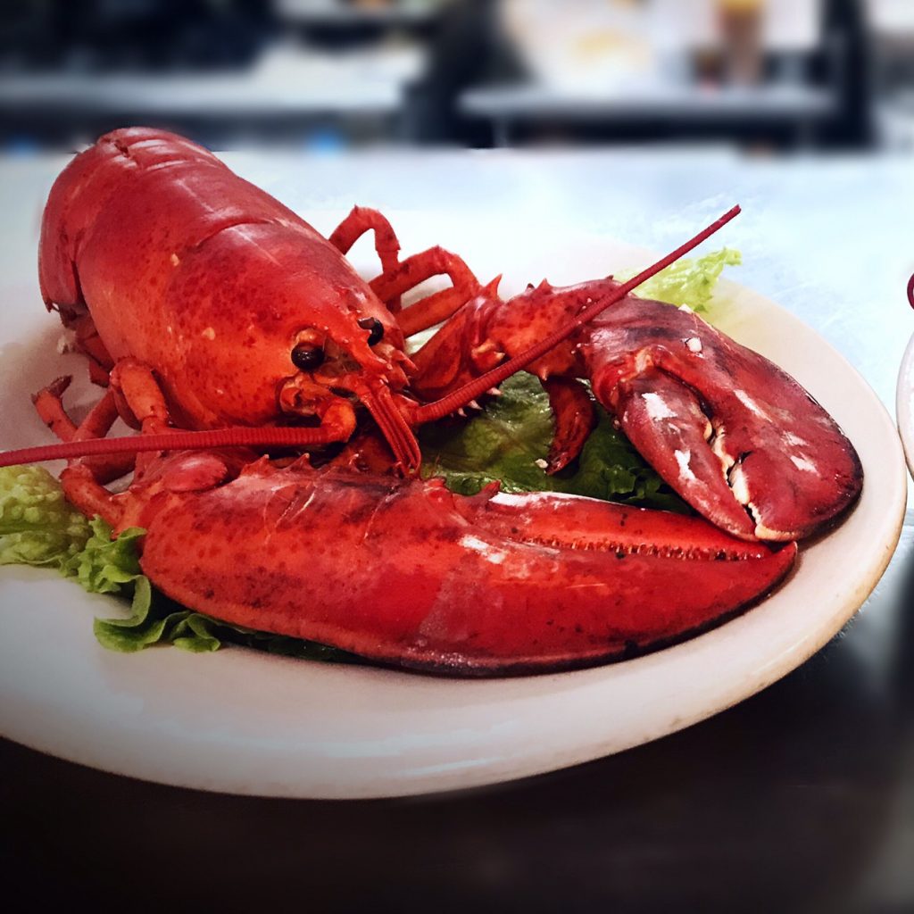 lobster-special
